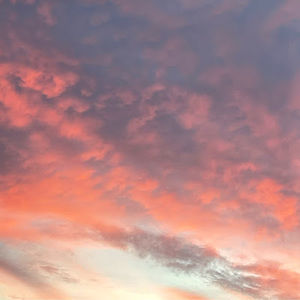 Meet your Posher, Dua